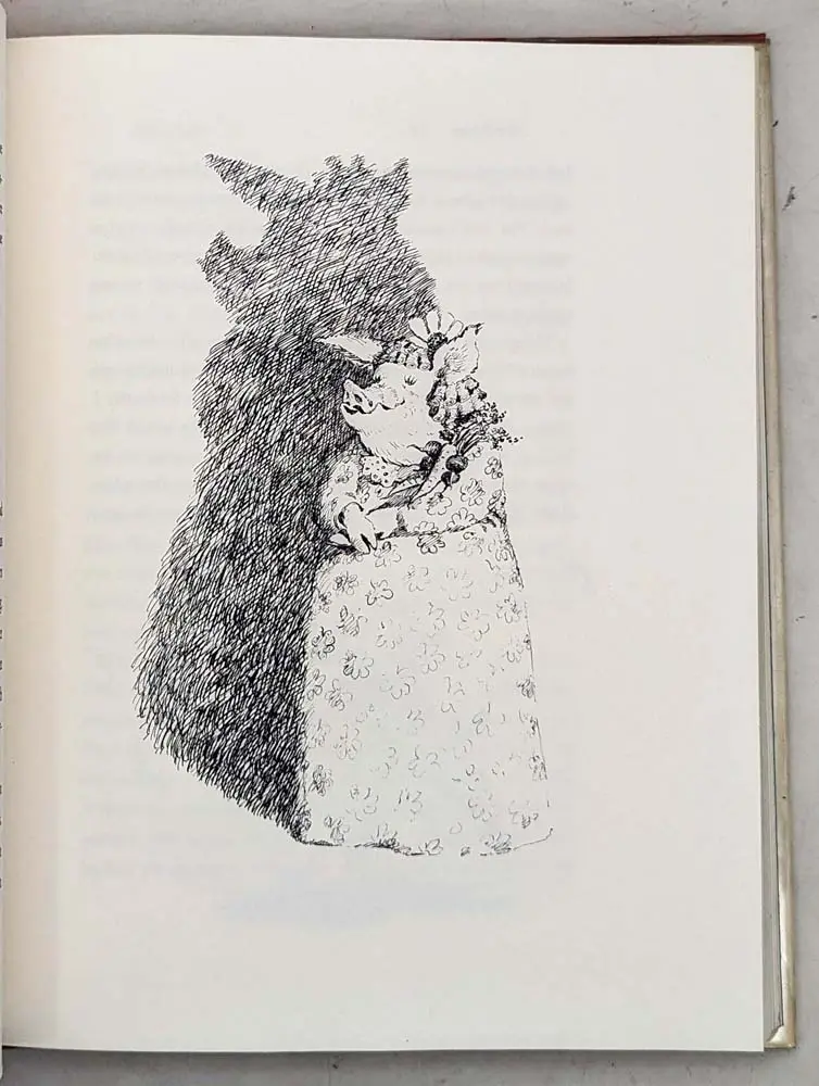 The Stray - Betsy James Wyeth 1979 | 1st Edition Stray - Betsy James Wyeth 1979 | 1st Edition