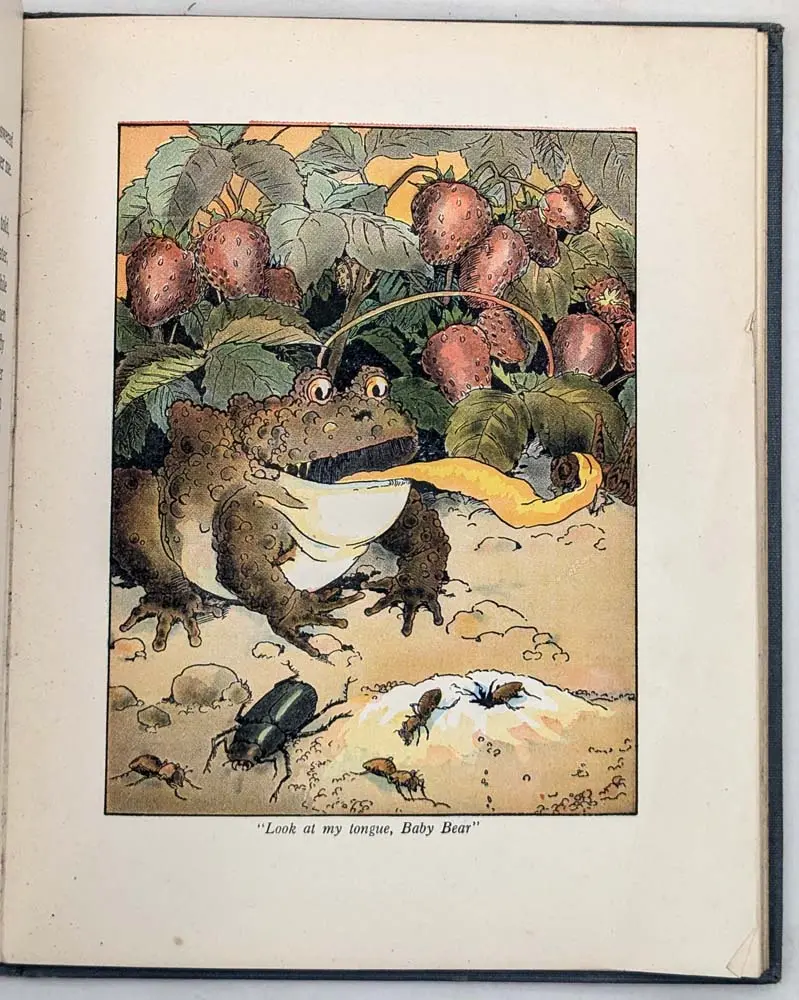 Doings of Little Bear - Frances Margaret Fox 1915 Doings of Little Bear - Frances Margaret Fox 1915