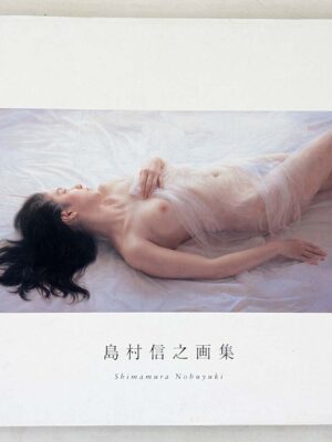Shimamura Nobuyuki Gashuu Monograph 2011