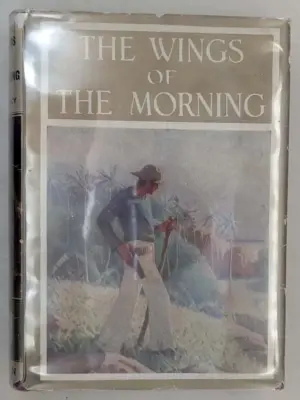 The Wings of the Morning 1924 - Illus. Mead Schaeffer | 1st Edition
