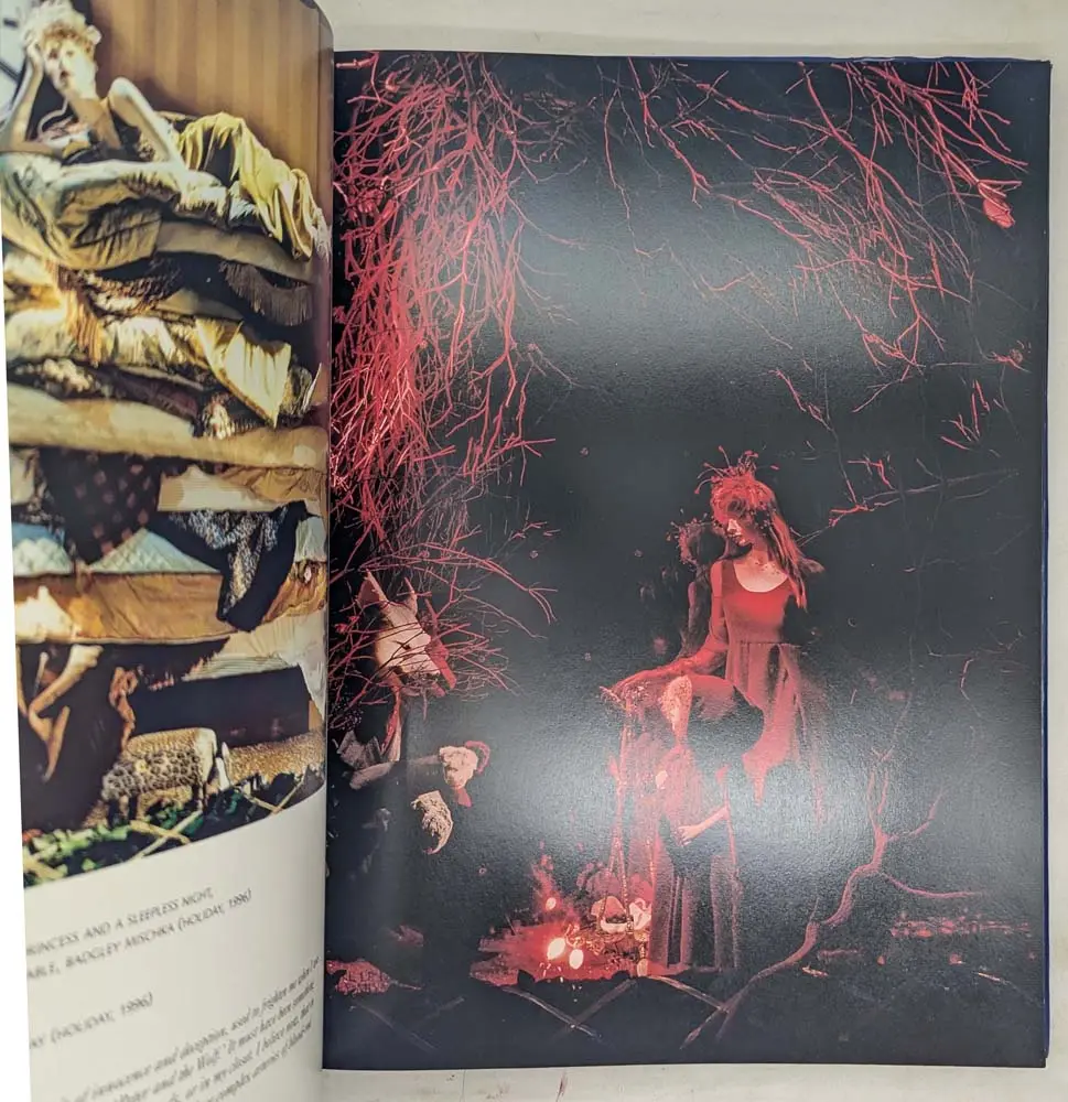 Dreams Through the Glass - Linda Fargo 2004 | Monograph Dreams Through the Glass - Linda Fargo 2004 | Monograph