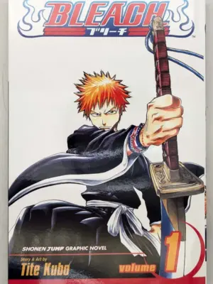 Bleach Manga Vol 1 - Tite Kubo 2004 | 1st Print