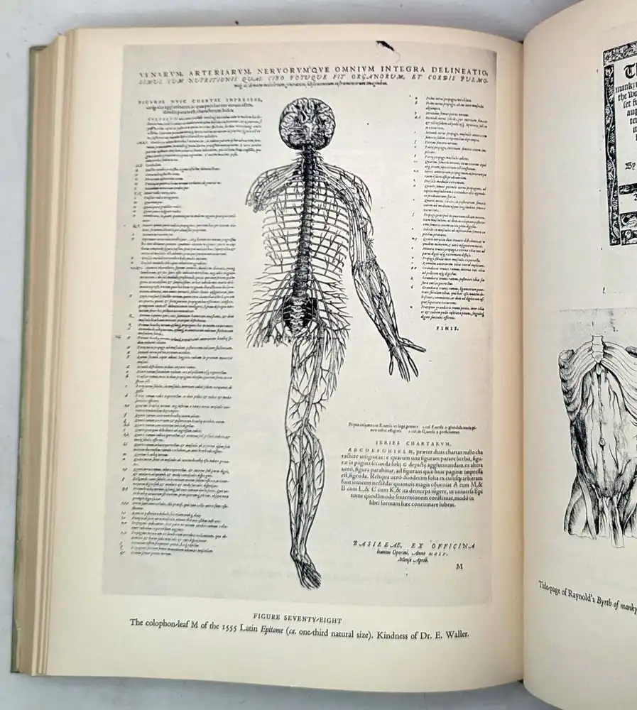 A Bio-Bibliography of Andreas Vesalius - Harvey Cushing 1943 A Bio-Bibliography of Andreas Vesalius - Harvey Cushing 1943